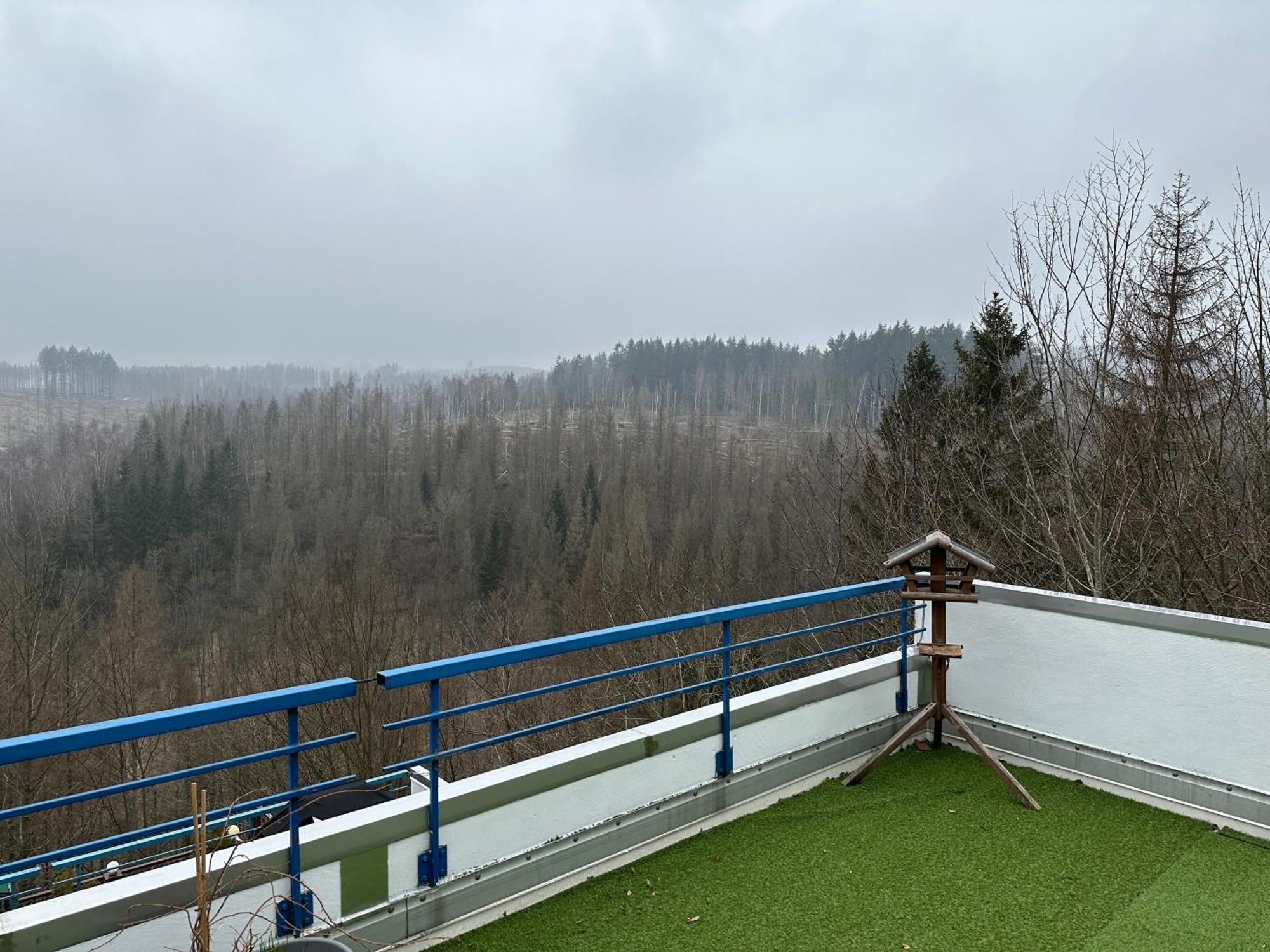Ferienwohnung Harz #4, Pool, Sauna, Wlan Браунлаге Екстер'єр фото